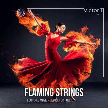 Flaming Strings  HIT RADIO cd